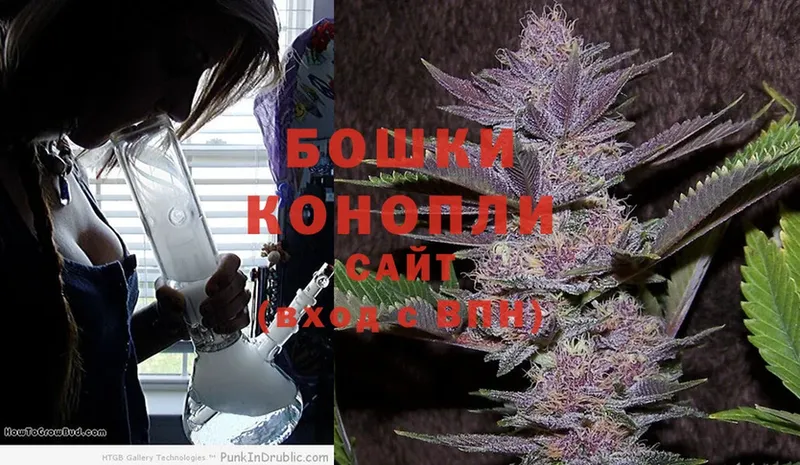 Канабис OG Kush  Костомукша 